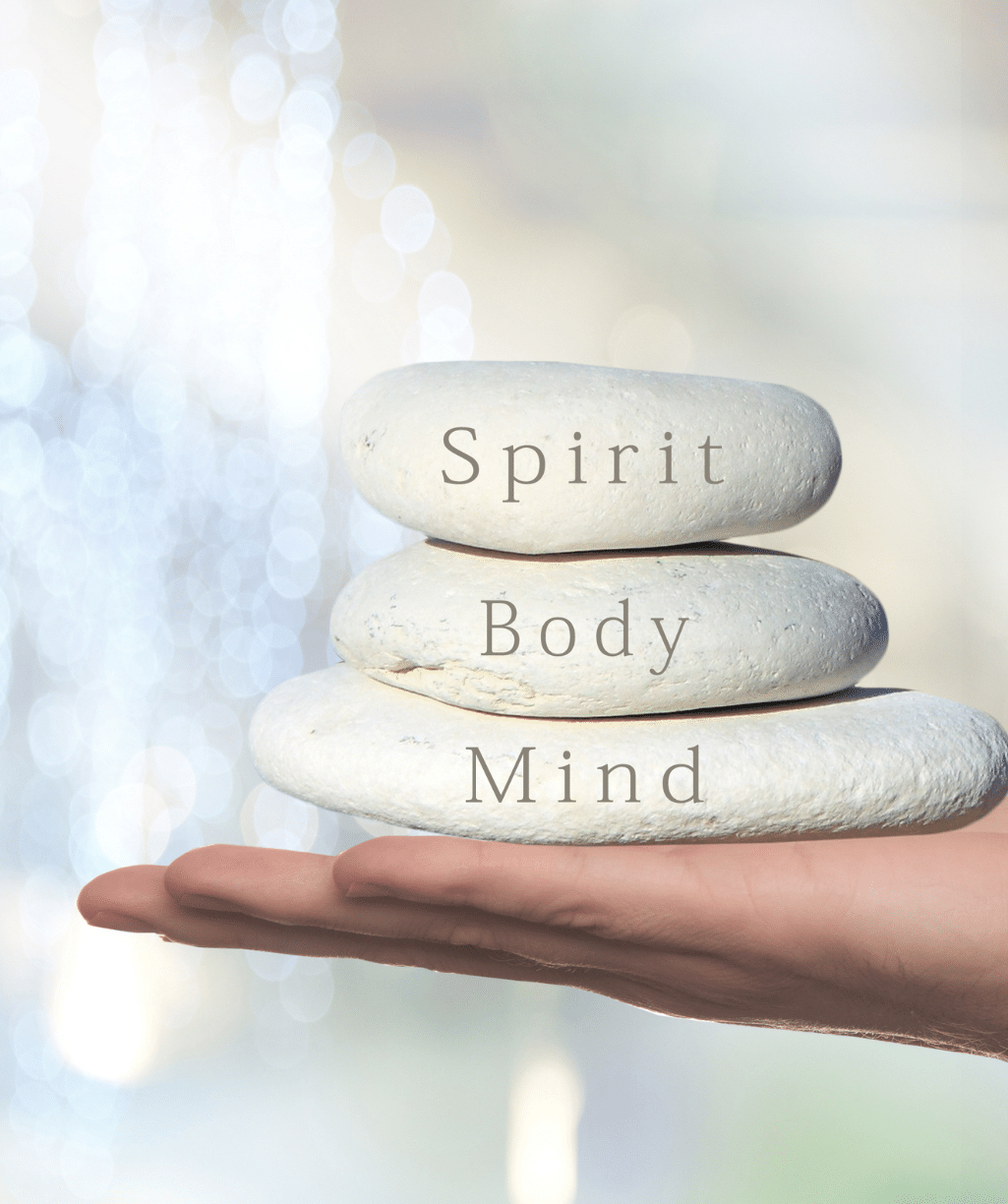 Why a Holistic Approach pic